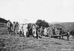 Slåttonn, hest, vogn, personer, river.