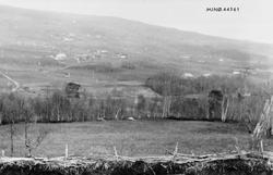 Enhafell og skigard, naturforhold.