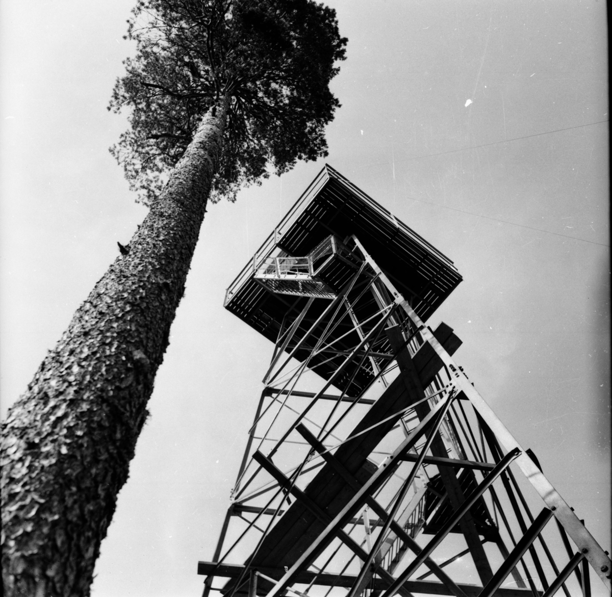 Belsås brandtorn
Bollnäs Juli 1954