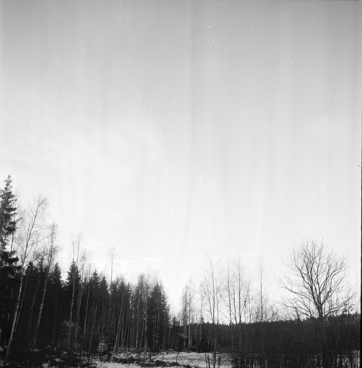 Skog, Lingbo. 11/12 1957