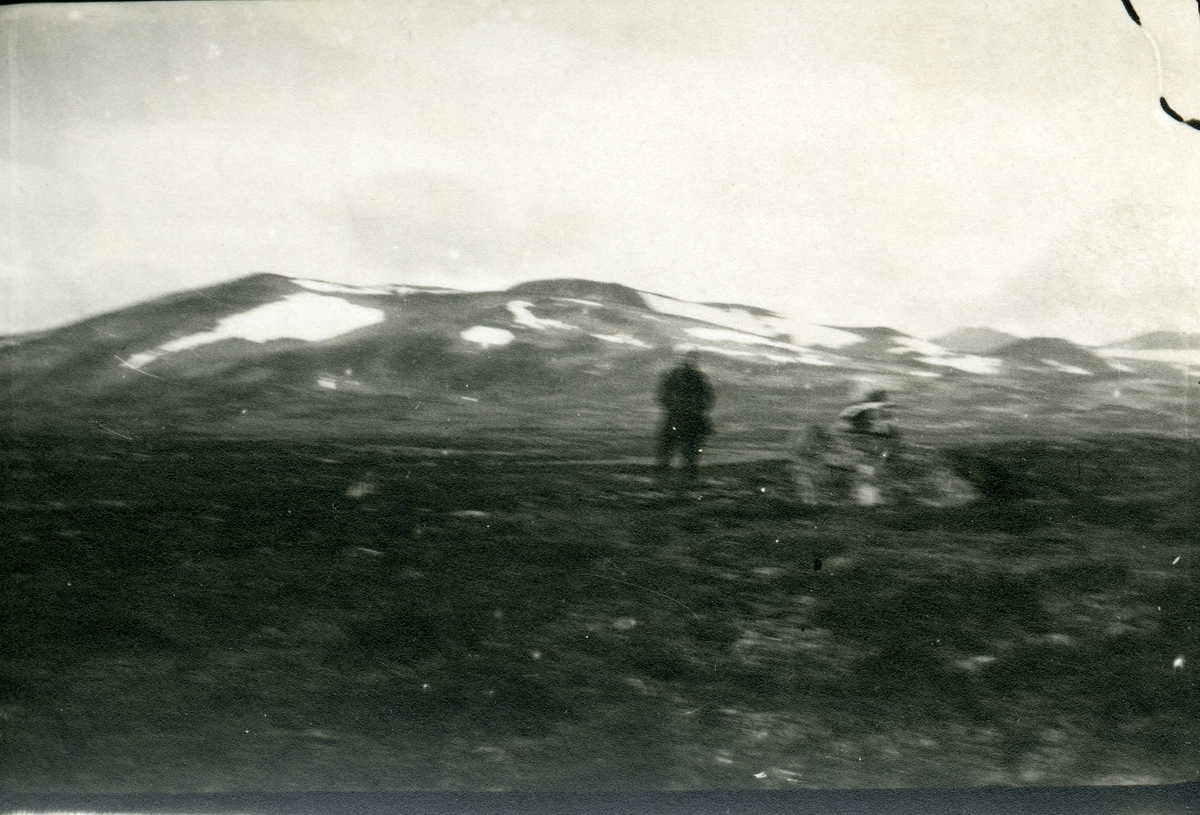 Øyangen 1919