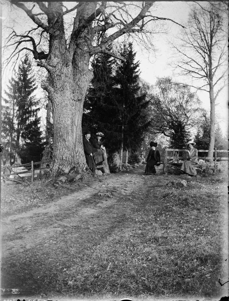 En man och tre kvinnor vid grindhålet, på skogsvägen,  Östhammar, Uppland