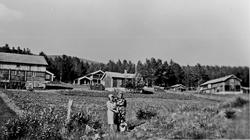 Midt Nesset. ukjent, Solberg, Hamar, Ida Brænd. Uthus/fjøs, 