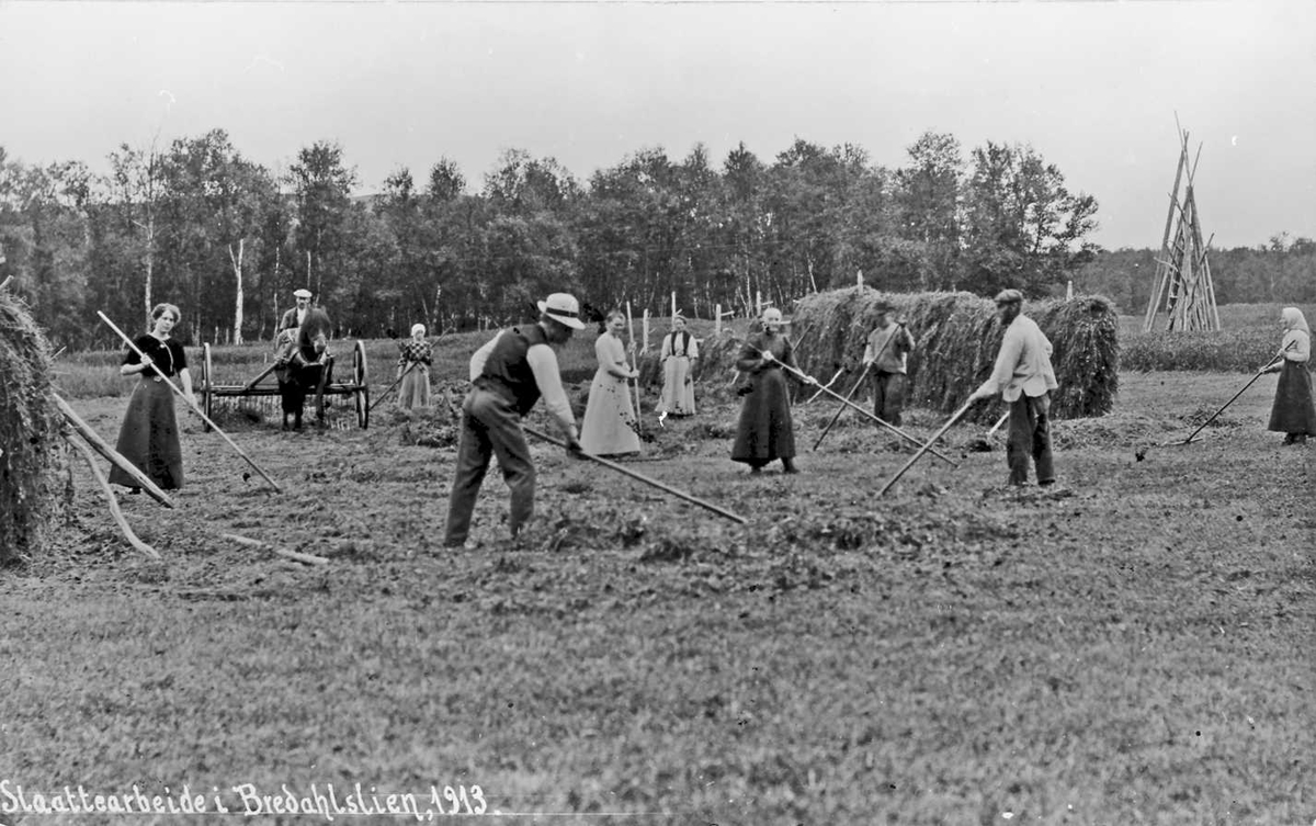 Slåttearbeid i Bredalslien 1913