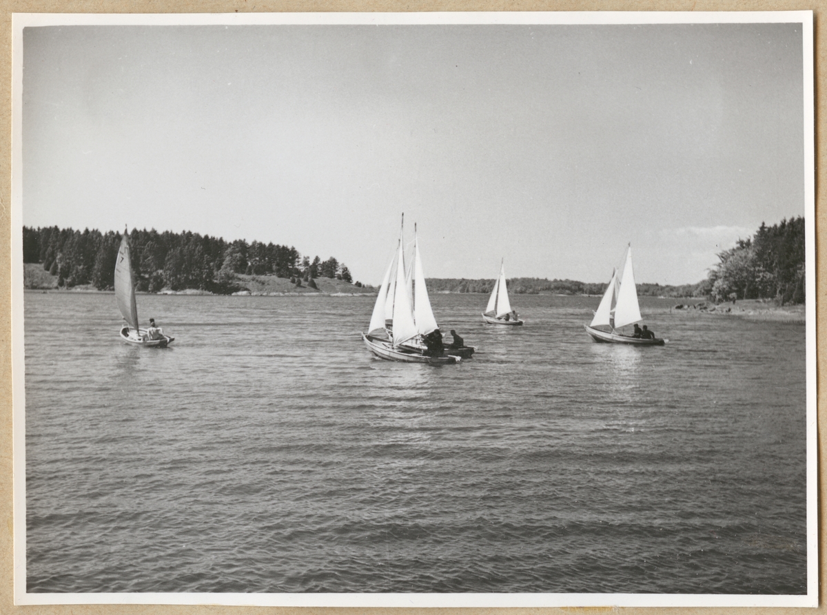 Fem jollar med segel glider fram på vattnet mellan öarna i skärgården. Varje båt har två besättningsmän ombord.