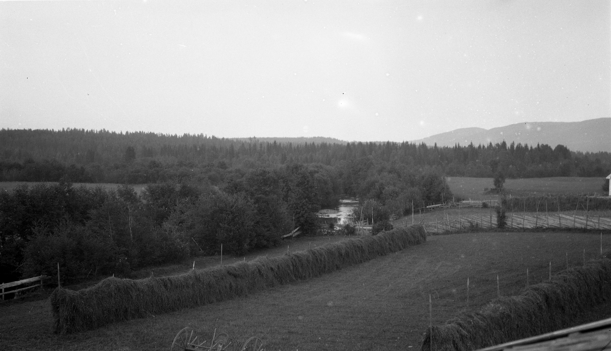 Landskap med en nyslått voll med hesjer i forgrunnen, og ei elv som kan være Lenaelva midt i bildet.