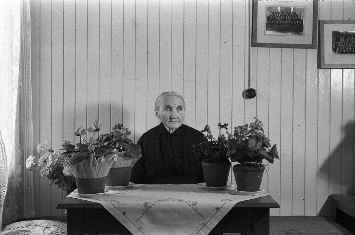 Thea Engeli - Portrett. Bildene muligens tatt i anledning hennes 80 årsjubileum.