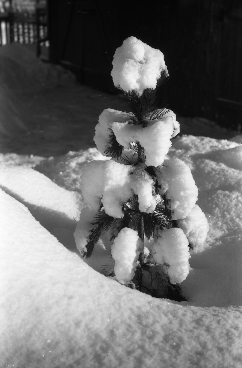 Fra fotografens eiendom Odberg på Kraby, Ø.Toten vinteren 1945.