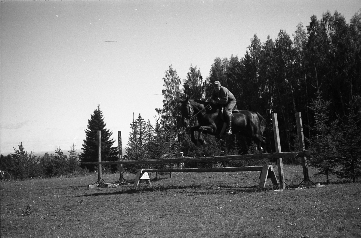 Militære sprangryttere ved Hærens Hesteskole på Starum august/september 1948. Serie på 26 bilder. Ingen av rytterne er identifisert.