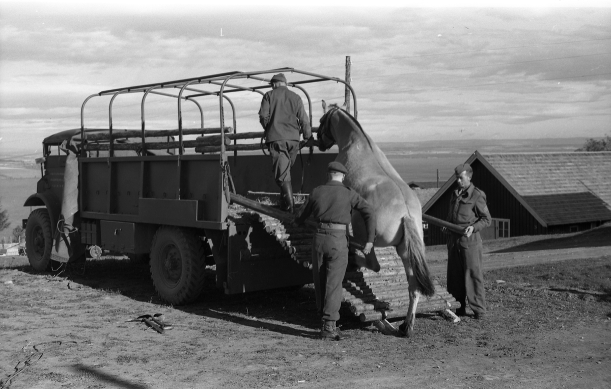 Opplasting av hester på lastebil ved Hærens Hesteskole på Starum september 1948. Serie på 24 bilder. Lengst til venstre på bilde nr. 1 står daværende sersjant Ottar Markeng.
Bildene nr. 1-4 og 17-24 eer trolig fra Hoffsvangen, de øvrige fra Starum Leir.