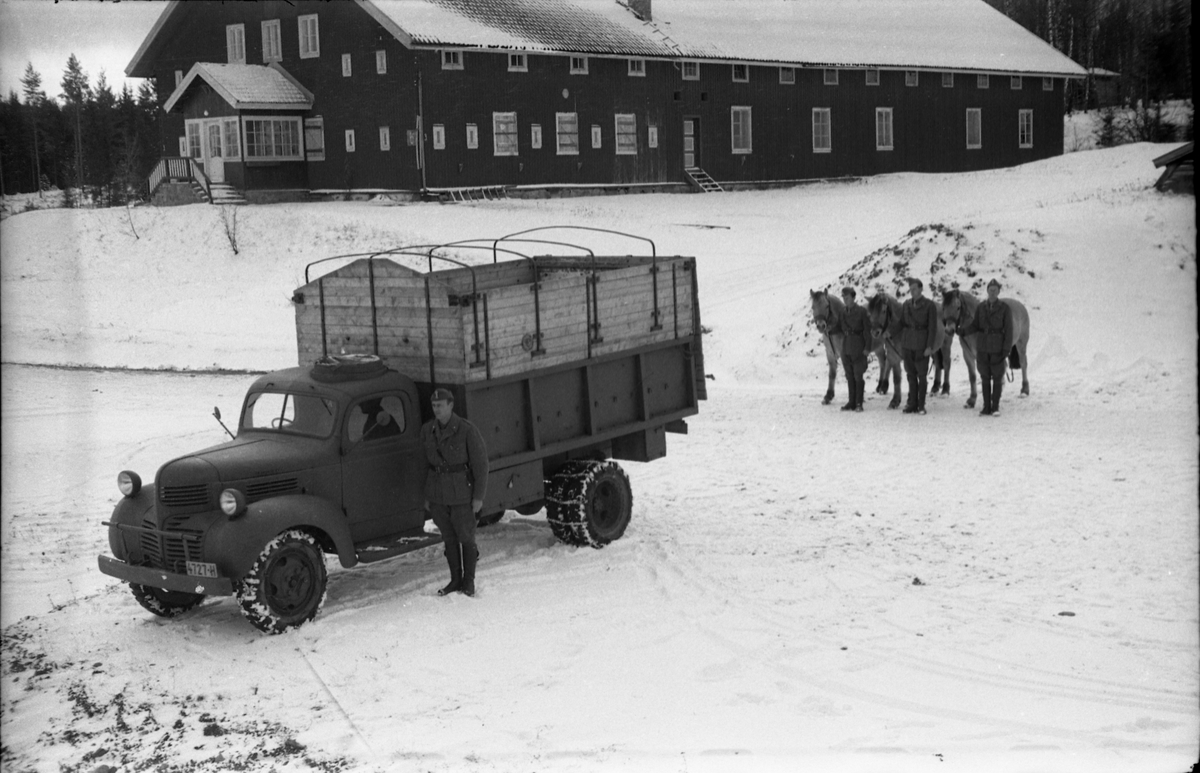 Hestetransport med lastebil ved Hærens Hesteskole på Starum oktober 1948. Serie på 18 bilder.