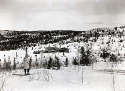 Sørbekkseter Fjellstue
