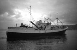 M.5.AK "Klara Birting"