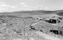 Sjusjøen med Halla seter (Sjusjøen fjellstue), Rognhaugen og