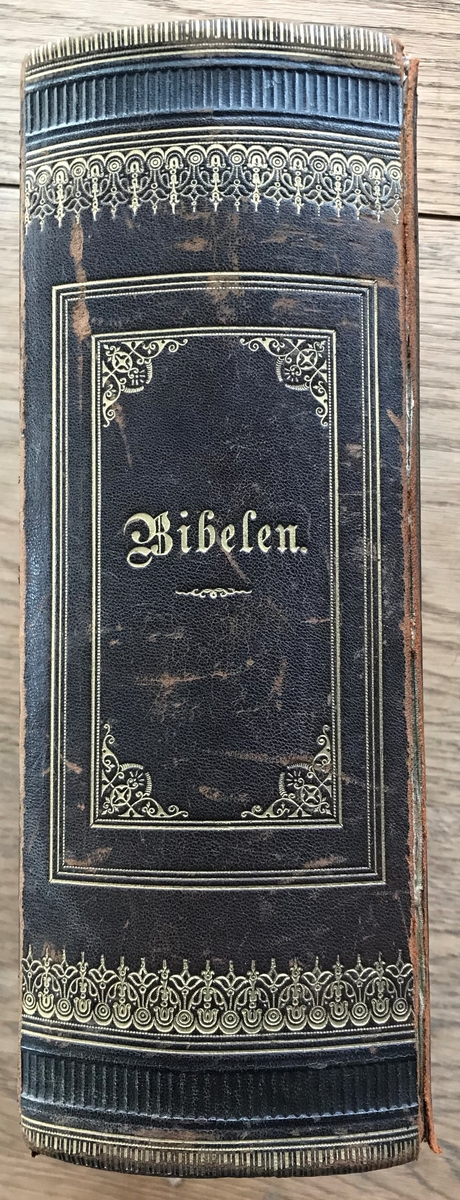 Bibel, med bilder, sort skinnbind med kors i firkant, relieff, på forside. Jacob Dybwads Forlag 1868. Mrk: J. Amundsen og 27 December 1873 i gullskrift.
