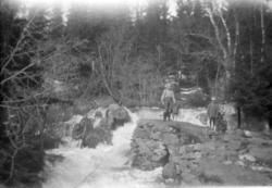 Egil og Thune med hund på tur langs en elv.