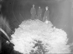 Issjau for siste gang, Tinfos-området.