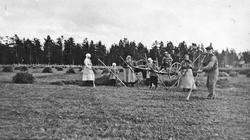 Slåttonn, personer. hesjer, hest