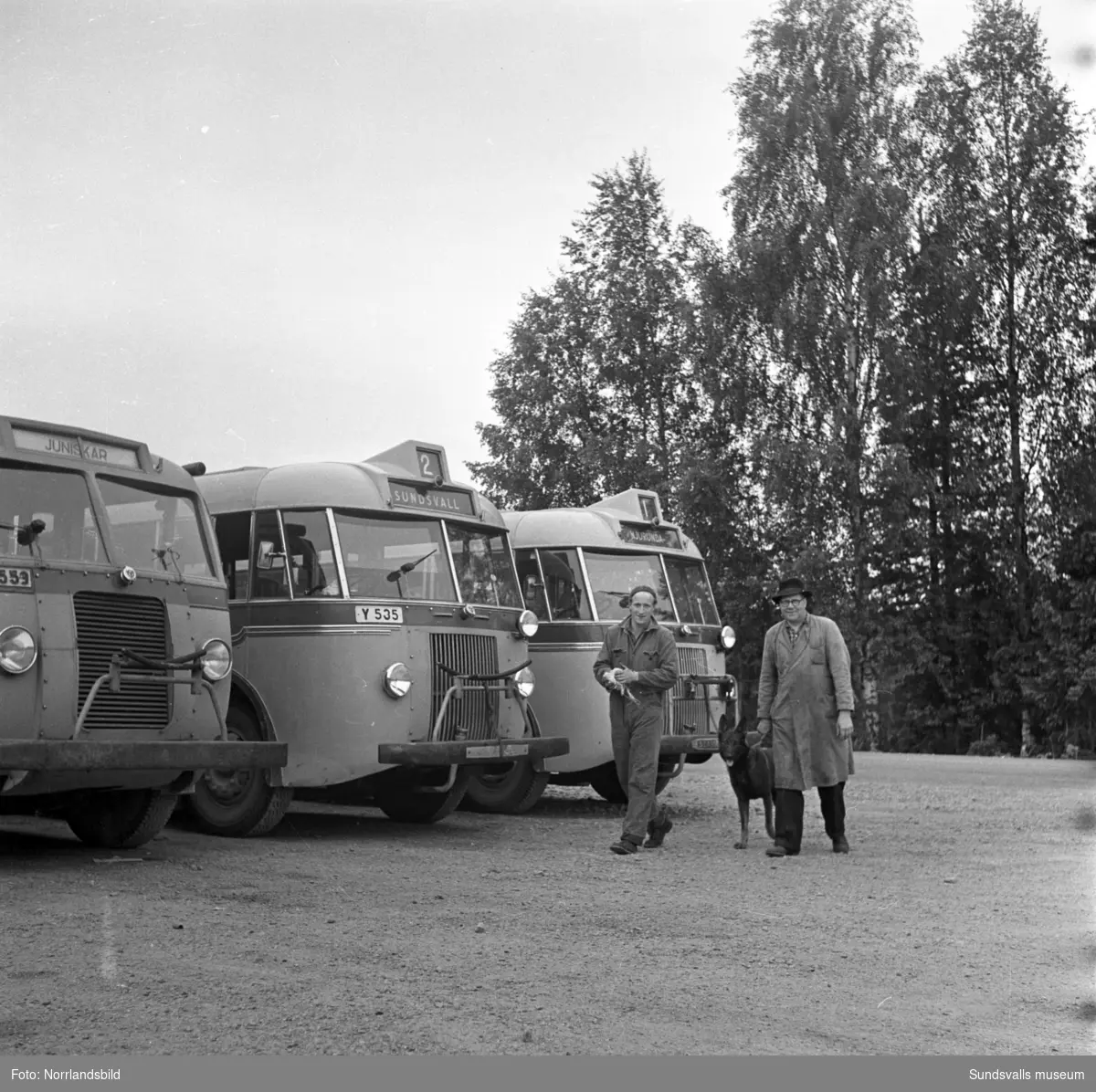 Njurundabussarna servas vid bussgaraget i Forsa, Skedlo.