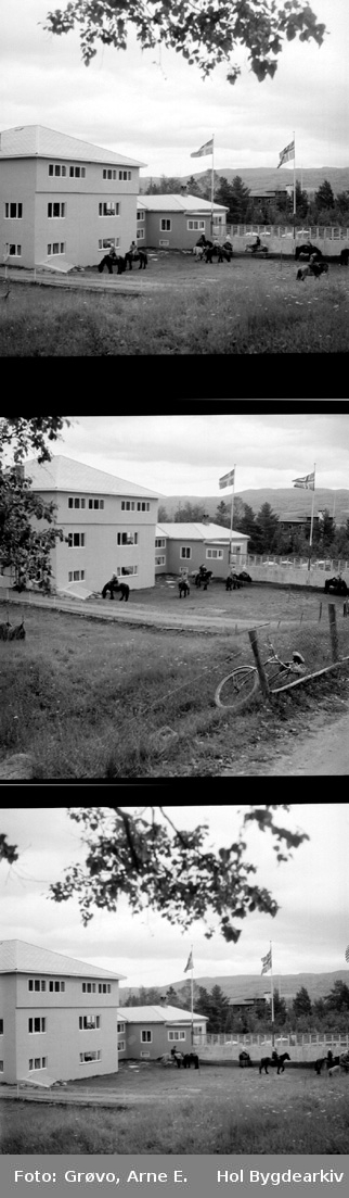 Hotell, Bardøla Høyfjellshotell, sommar, sykkel, hestar,
