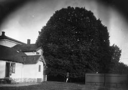 Ukjent bakgård fra Moss. Det står en ukjent mann med en gutt