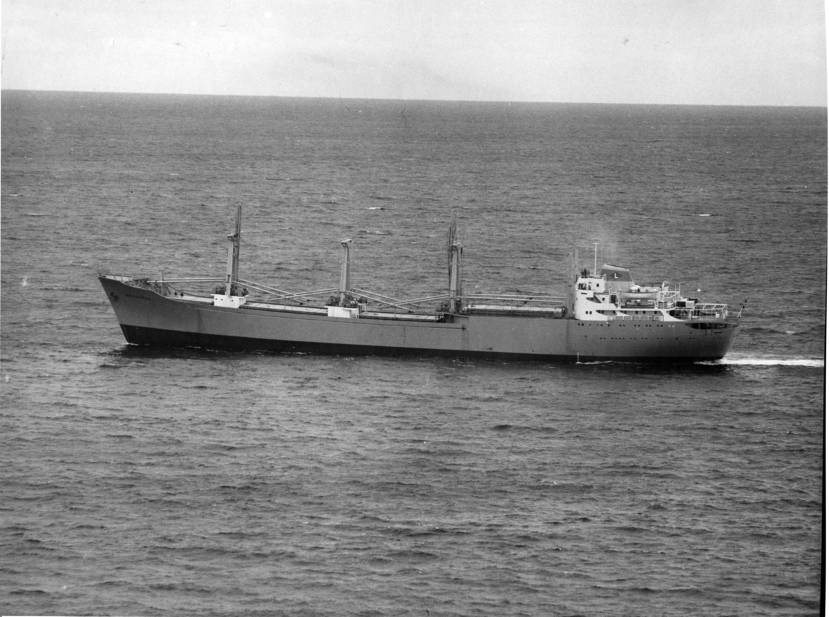 Byggenr. 44 v. Langesund Mekaniske Verksted: Amazonas.

Amazonas ligger ved kai ved verftet og på vannet.
9-17: Nyblin