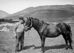 Ole Granmorken med hoppe, 10.06.1914, mann med hest