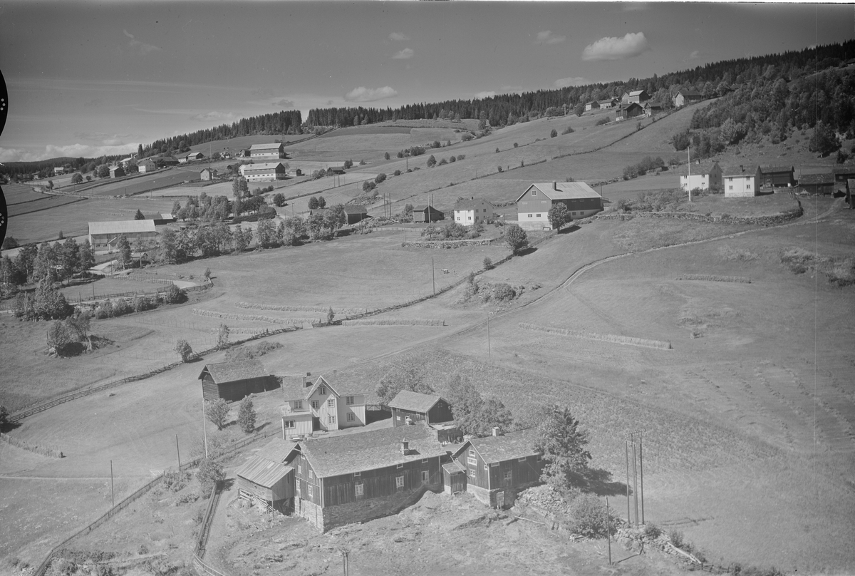 Holen gård, Vestsida,Tretten, Øyer, 16.07.1959, kulturlandskap, jordbruk, slåttonn, hesjing