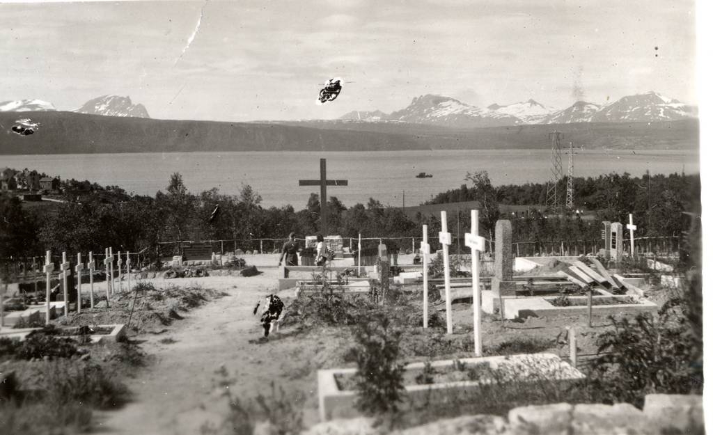 Parti fra kirkegården i Narvik. I bakgrunnen Veggfjellet med Novatind til venstre og Revtind ca. midt i bildet.