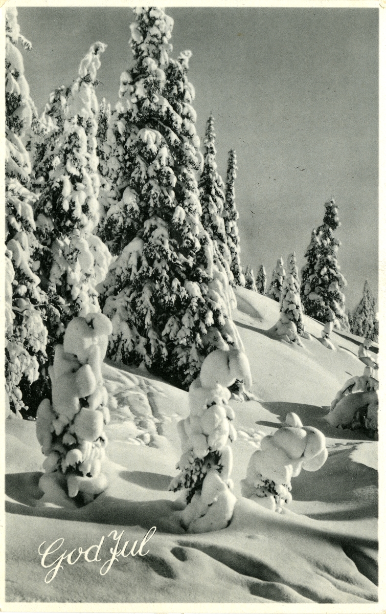 Julekort. Jule- og nyttårshilsen. Vinterlandskap med grantrær. Stemplet 22.12.1946.