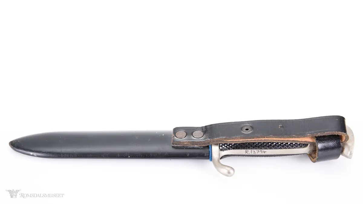 Diamantformet emblem med 2 røde og 2 hvite felter med hakekors i sort på mørk grønn bakgrunn. Scimitar med krone over på bladet.