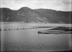 Tømmerlenser ved Orklas utløp. Utsikt mot Rokollen.