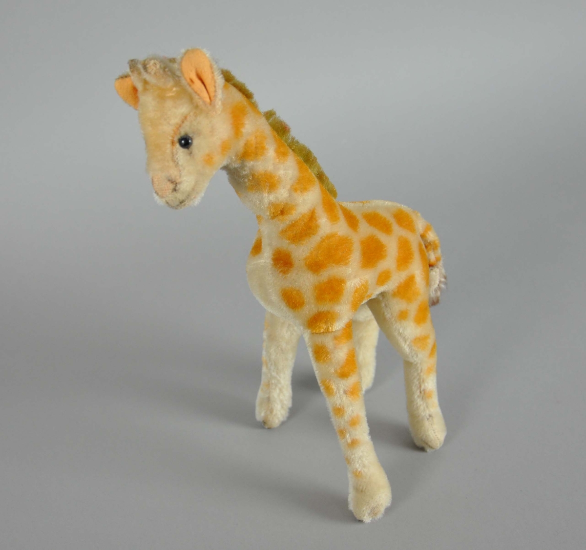 Giraff fra Belgia.