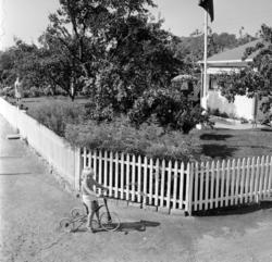 Sogn Kolonihage 50 år. August 1959