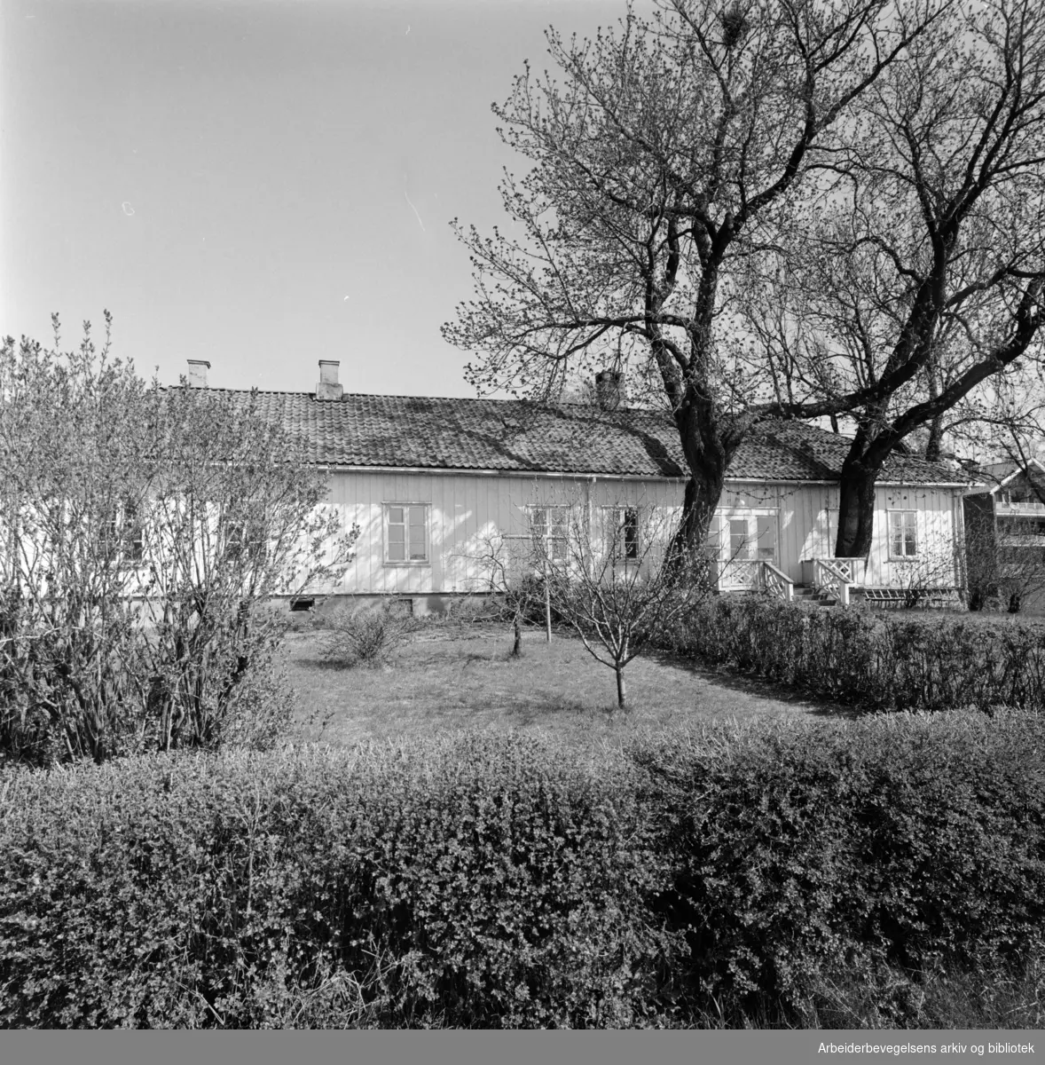 Sogn: Vestre Sogn Hovedgård. Mai 1974