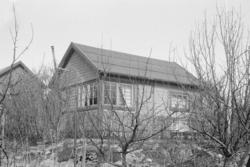 Solvang Hagekoloni. 1946