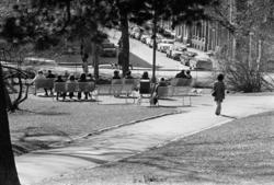 St.Hanshaugen. Varmt i solsteiken. April 1976