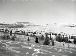 Vasetområdet, Vestre Slidre.