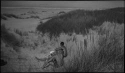 Cykkeltur gjennom Rennesøy. Lindtner, Tor Johannessen, Thaul