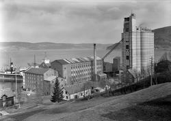 I. C. Piene & Søn i Buvika