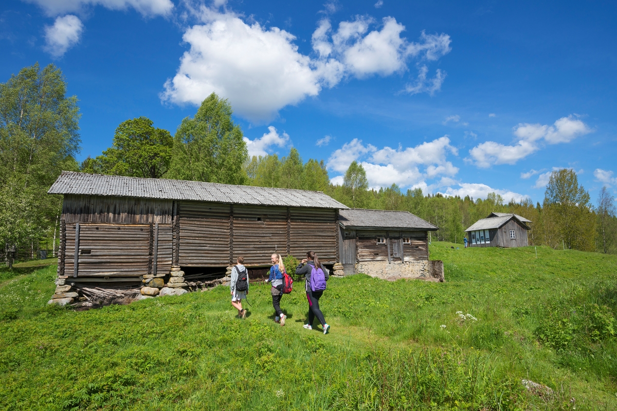 Skoleelever på Oppistun Børli, arrangement i regi av Kongsvinger Museum. Oppistun Børli er en husmannsplass i Eidskog kommune, Hedmark. Den er kjent som et kunstnerhjem ettersom forfatteren Hans Børli (1918–1989) ble født og vokste opp her. Stedet ble ryddet av skogfinner tidlig på 1700-tallet. Børli-familien ble knyttet til stedet da Hans Børlis oldefar bosatte seg her i 1860. Hans Børli bodde i barndomshjemmet fram til 1946. Arrangement. Publikumsarrangement.