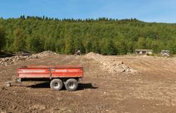 Husdyrbruk i Nord-Østerdalen. Landbruk. Etablering av nytt j
