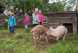 Fra "Fløttdagen" på Dølmotunet 2016, Tolga, Hedmark. Musea i