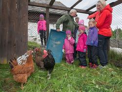 Fra "Fløttdagen" på Dølmotunet 2016, Tolga, Hedmark. Musea i