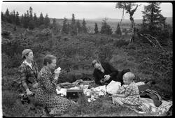 På tur i Gausdalfjellet august 1939. Personene fra venstre: 