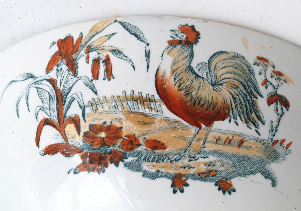 Hane, gress, blomster, gjerde