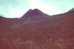 Fjellandskap og skog