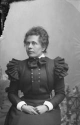 Portrett. Ung kvinne, sittende. Frøken Müller