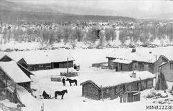 Gardsbruk, bygninger