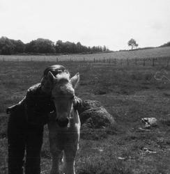 Inger Marie Hognestad g. Tornø (22.7.1967 - ) med eit føl.